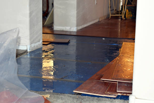 Professional Emergency Water Damage Restoration technician working in Star Prairie, WI